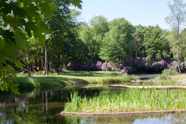 B&B Kasteel Boterberg