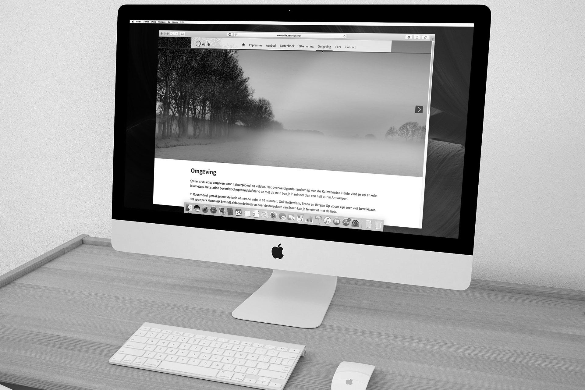 webdesign Evergem 