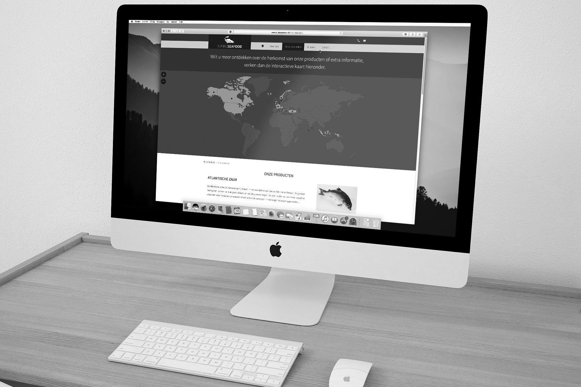 website designer Tervuren 