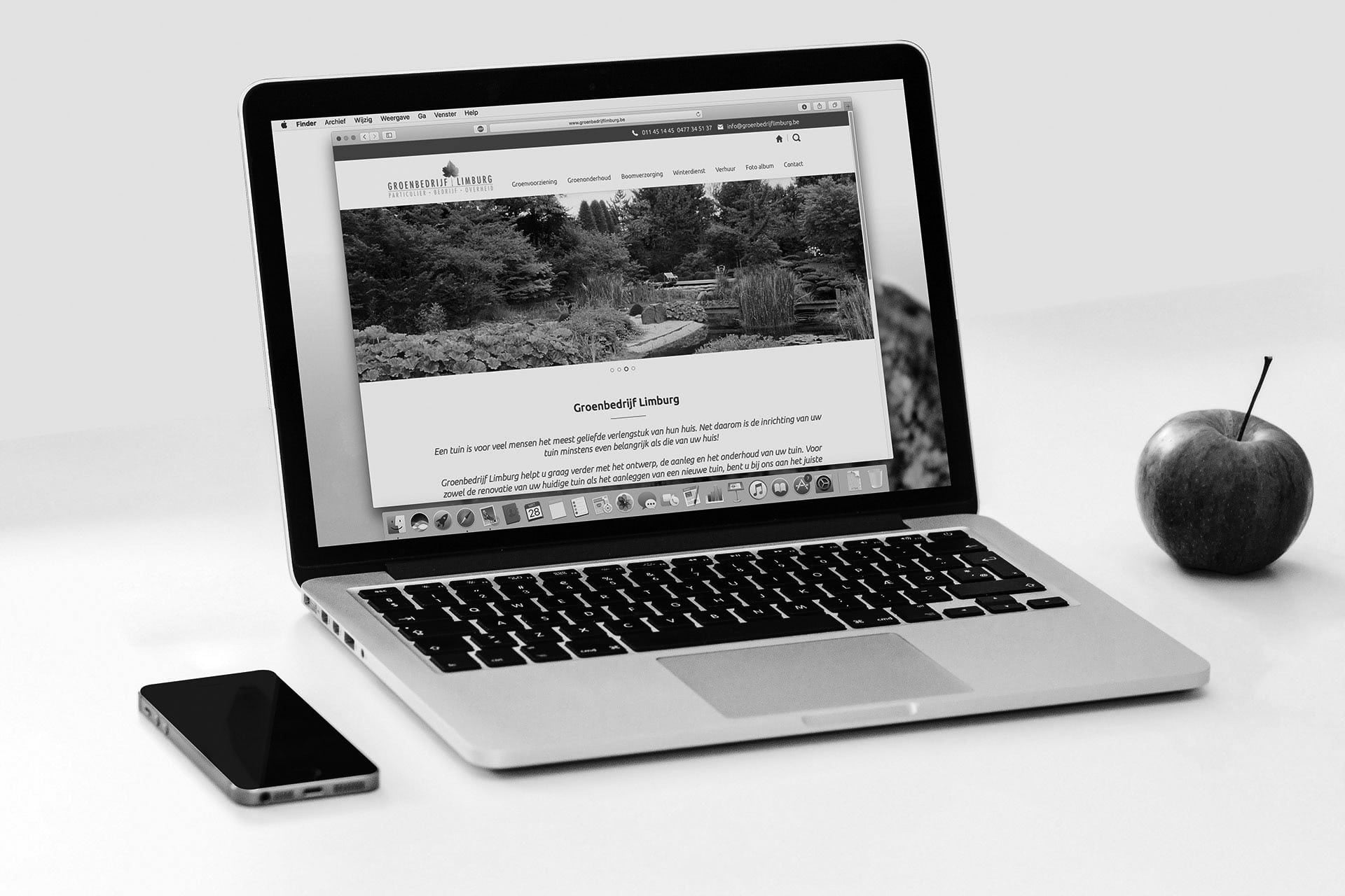 website ontwerp Kortenberg 