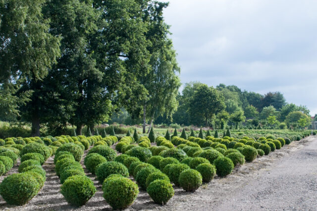 Groenbedrijf Limburg