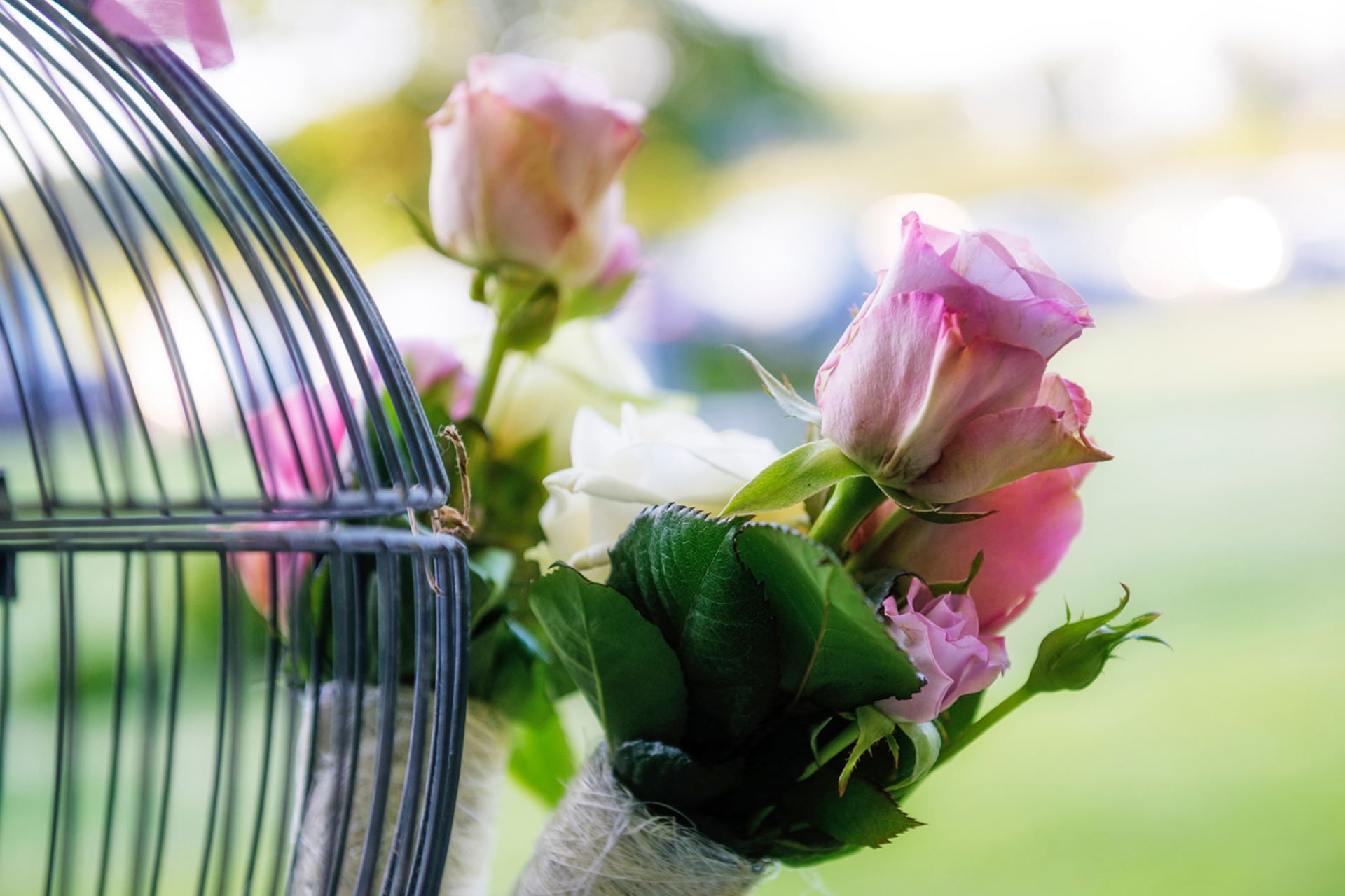 Weddingplanner Feriatus - Original Media