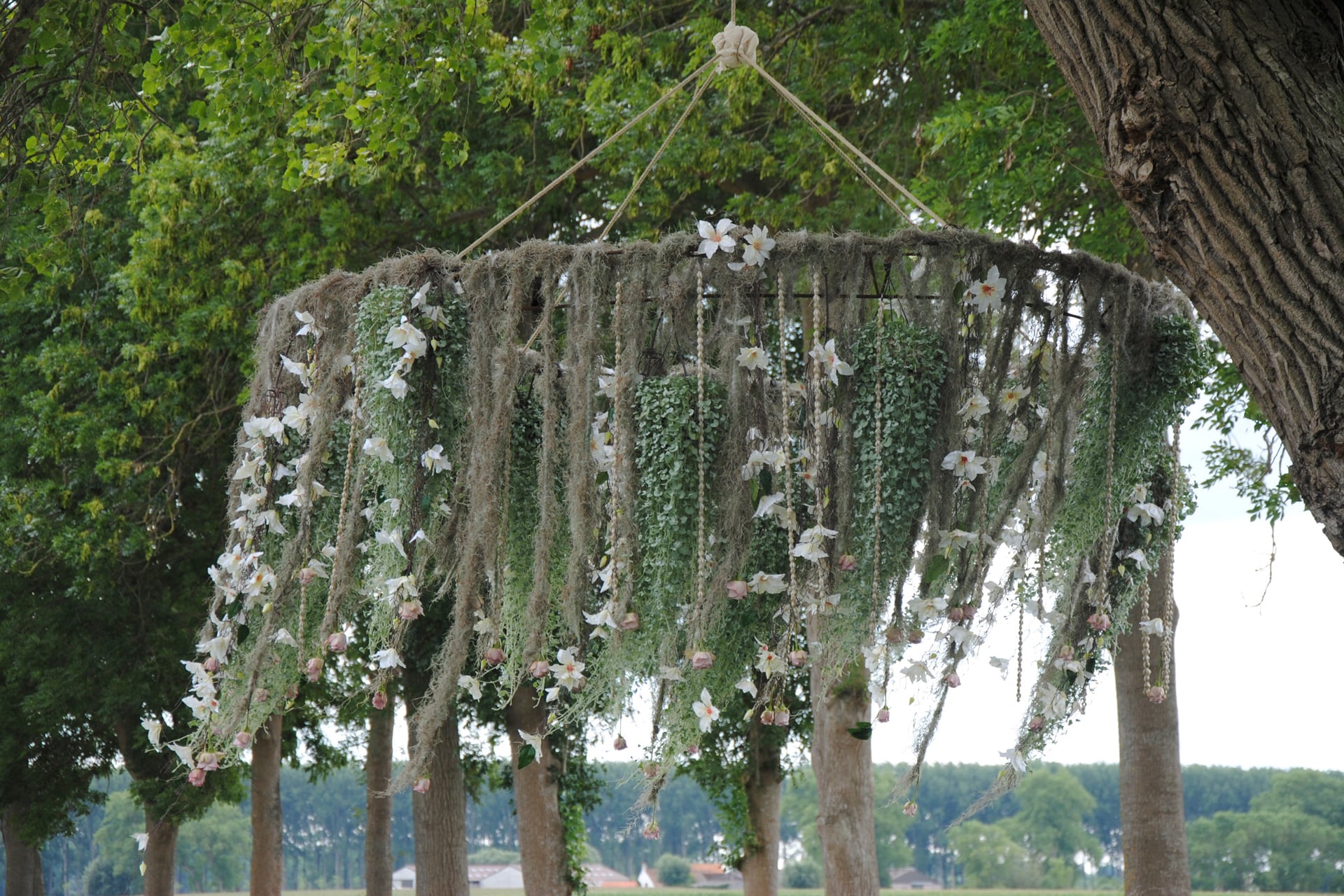 Weddingplanner Feriatus - Original Media