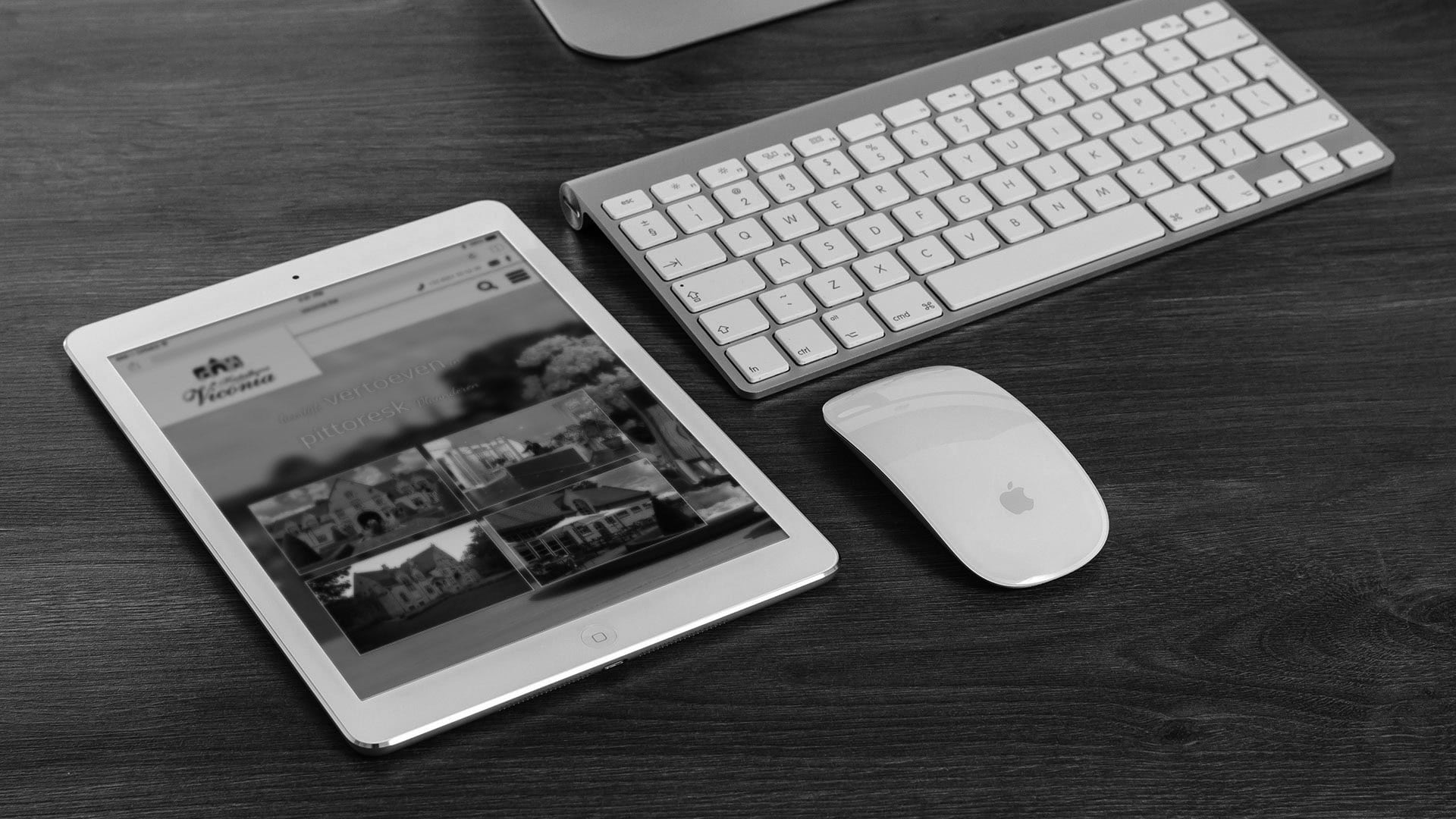 website designer Zandhoven

