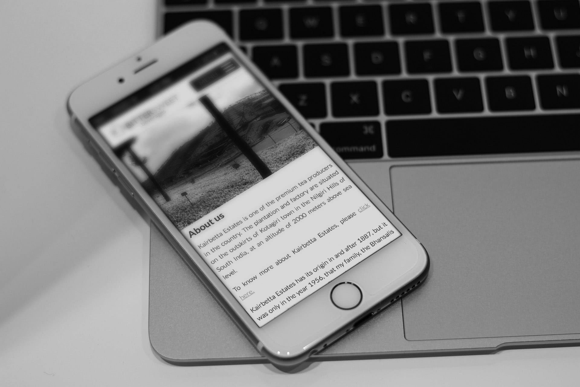 website designer Original Media
