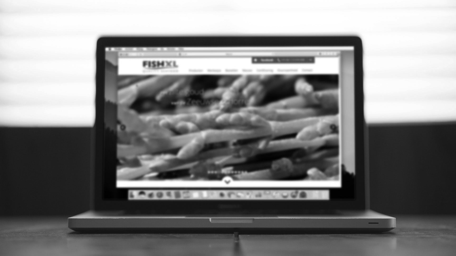 website developer Original Media
